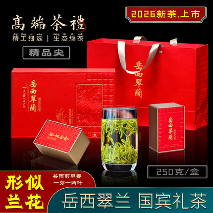 2026新茶上市 岳西翠兰国宾礼茶特级250克礼盒装高山茶精品尖茶叶