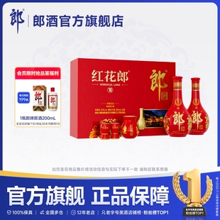 酱香型白酒53度500mL 郎酒红花郎酒10双瓶礼盒装 2瓶 甄选礼盒