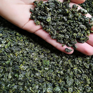 2024新茶涌溪火青500g罐装高山云雾绿茶茶农直销口粮茶耐泡炒青茶