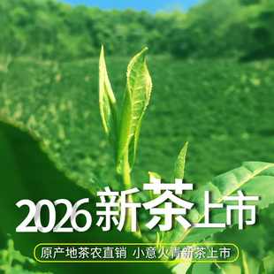 [2026新茶]涌溪火青高山云雾绿茶安徽茶叶500g炒青兰花香耐泡散装