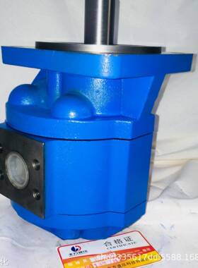 厂家供应 CBGP2100-B2R齿轮泵 多种规格议价