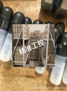 R900424199 DBDH6K1X/100现货议价