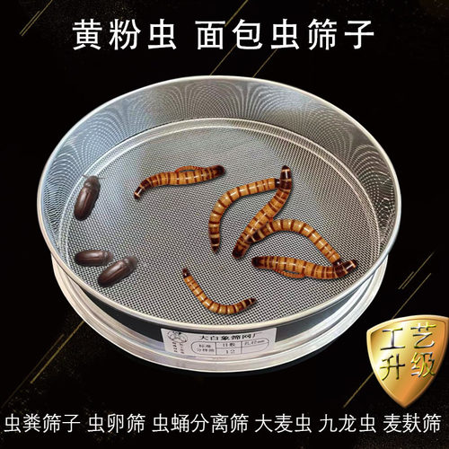 面包虫筛网虫粪过滤筛虫蛹分离筛