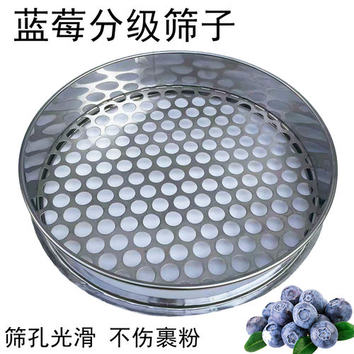 蓝莓筛网过滤筛不锈钢圆孔筛子