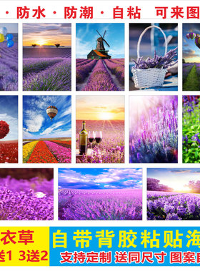 普罗旺斯紫色薰衣草贴纸唯美美景花朵自然田园宿舍装饰海报风景画