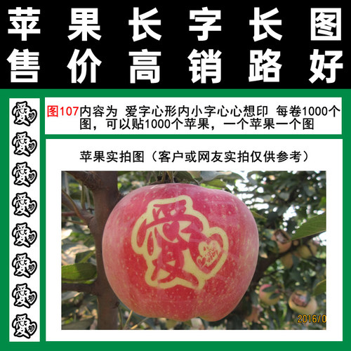 107艺术果用爱字心心相印辰时