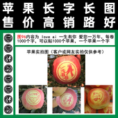 富士红星 包邮 爱情系列图96苹果贴字膜胶带式 LOVE一生有你祝福满百