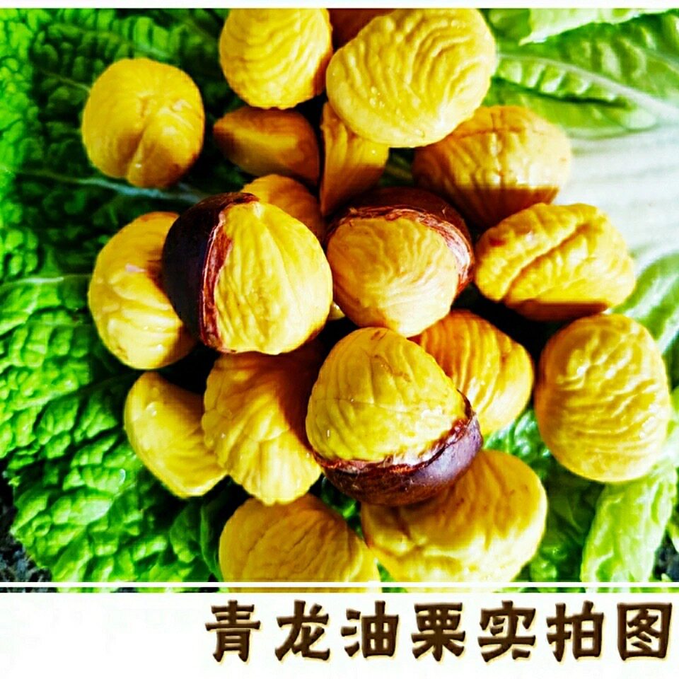 2025年青龙板栗新鲜生京东燕山油栗子非宽城迁西遵化怀柔软糯香甜