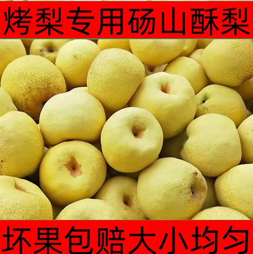 烤梨专用砀山酥梨小梨子榨汁梨膏