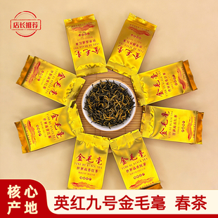 英德红茶英红九号特级金毛毫春茶手工采摘独立小包装茶叶试喝装