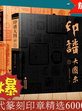 【上下2册】印谱大图示 篆刻印谱工具字典书6000余方古今印谱汉官印汉私印道家火烙鸟虫书印印章篆刻临摹工具参考书福建美术出版社