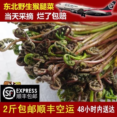 山野菜蕨菜新鲜新鲜东北绿色