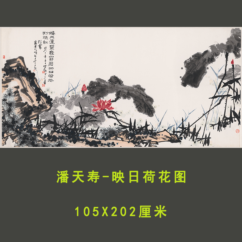 潘天寿映日荷花图巨幅高清写意国画酒店客厅大堂装饰画临摹画稿