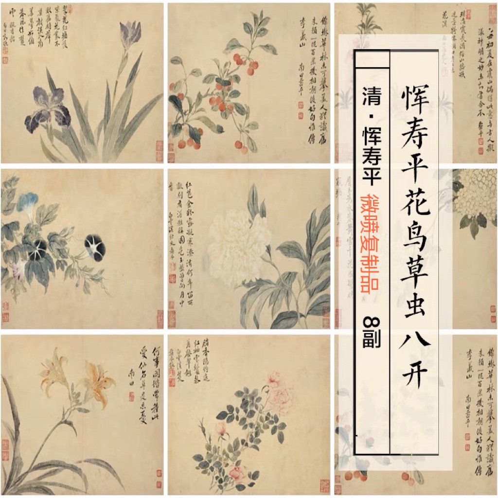 1:1恽寿平花卉图册8幅没骨画法春花图工笔绘画微喷复制临摹画稿
