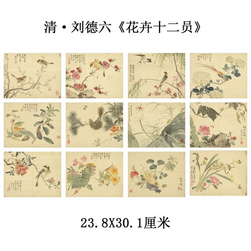 刘德六花卉十二员国画花鸟册页宣纸真迹高清微喷复制品临摹稿范本