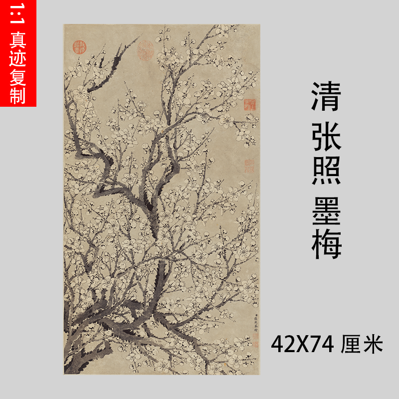 清 张照 墨梅图立轴 仿古梅花国画真迹微喷复制品装饰画学习画稿