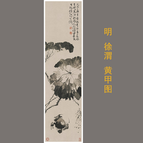 国画徐渭黄甲名家风荷叶螃蟹宣纸