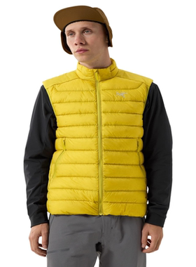 ARC'TERYX/始祖鸟男士马甲850填充白鹅绒Cerium冬季防水9881287