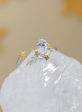 星星小马戒指原创银饰925纯银戒指轻奢高级感小众金银撞色开口戒