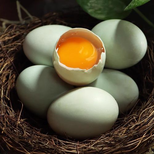 象山海岛农家散养鸭蛋新鲜青壳浙江沿海滩涂纯稻谷喂养海鸭蛋30枚