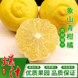 2025纯甜象山青柑橘日本春香橘柚黄金贡柚当季新鲜水果产地直发