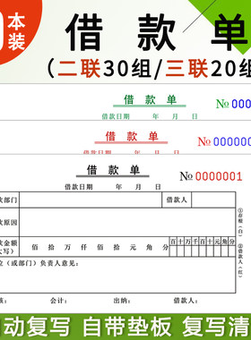 二联借款单三联借据暂支单借条欠款借支凭证领款审批单请款单定制