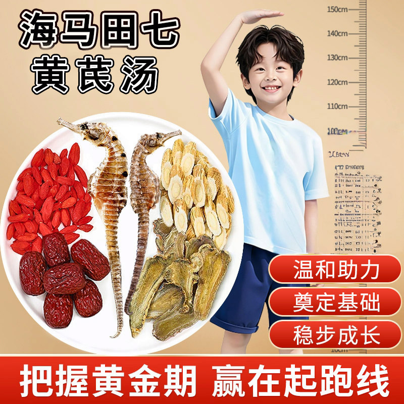海马田七黄芪汤包一公一母中药材广东鸡汤包儿童营养高汤成长增