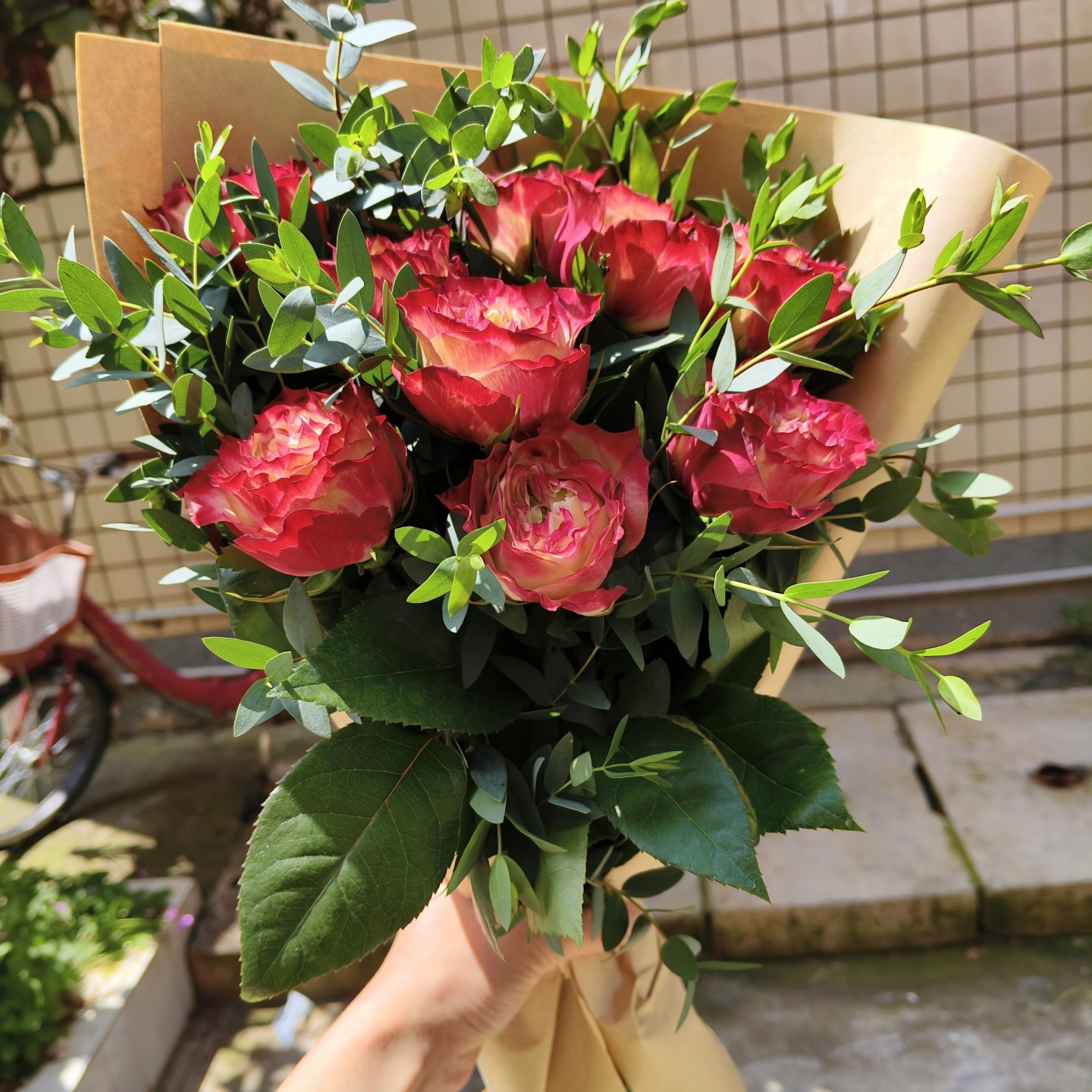 初心A级苹果杰克玫瑰鲜切花云南直发居家办公室瓶插水养顺丰包邮