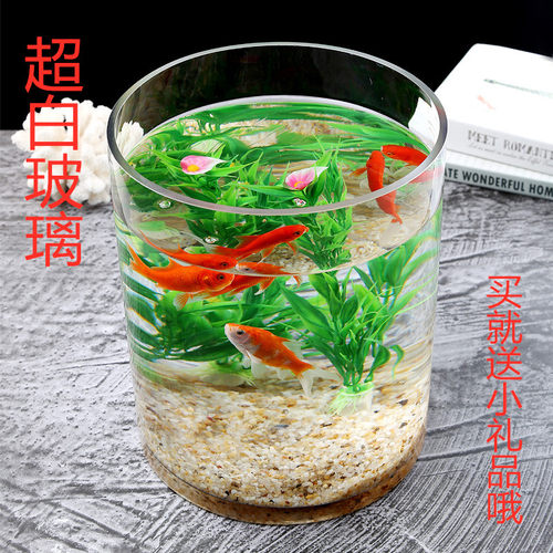 超白加厚大小号玻璃圆柱鱼缸客厅家用落地花瓶圆形圆柱形水培直筒 - 封面
