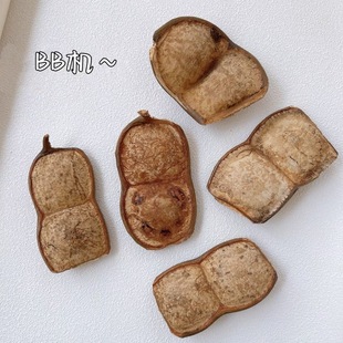 藤丑萌豆荚挂件材料豆荚diy挂件植物包小红书钥匙扣榼手工同款