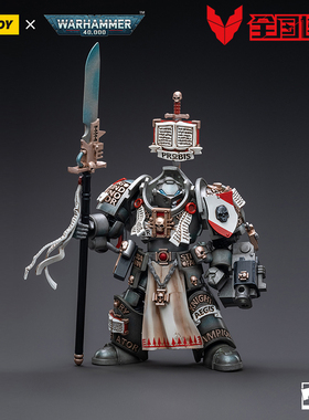 JOYTOY暗源战锤灰骑士终结者贾瑞科苏勒极限战士可动兵人模型玩具