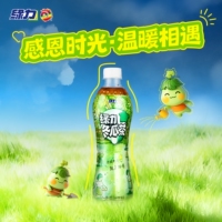 绿力冬瓜茶冬瓜汁饮料500ml*12瓶装饮料经典箱装饮品消暑解渴好喝