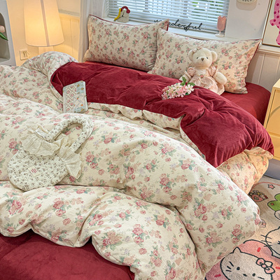 双层纱纯棉100全棉加绒四件套a面棉一面绒宝宝绒单面牛奶绒被套冬