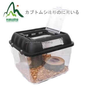 爬虫昆虫甲虫宠物锹类兜类攀爬造景饲育套餐爬宠精品箱热销包邮