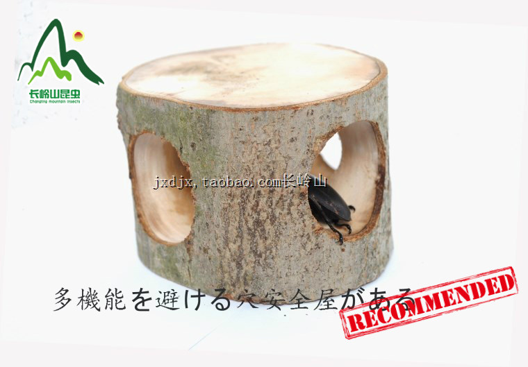 爬虫昆虫甲虫饲养箱避难穴躲避屋果冻皿兜类锹类多用途木笼热销