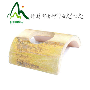 甲虫果冻台甲虫竹台攀爬栖息蜘蛛躲避穴独角仙成虫台锹甲成虫热销