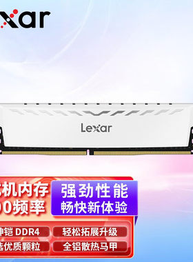 雷克沙雷神铠3200MHz电竞内存条