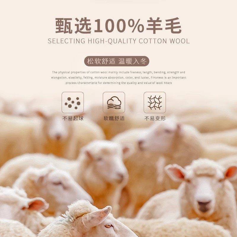 恒源祥加厚圆领羊毛衫男士秋冬毛衣内搭打底衫爸爸装2025新款上衣