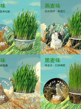 懒人猫草混合款猫咪化毛无土猫草泡面猫草猫咪零食猫用品盒装猫草