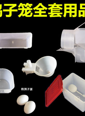 自动料槽用品养殖食盒鸽子