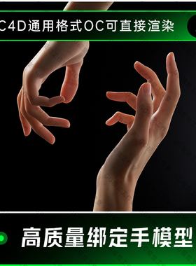 C4D高质量写实带骨骼绑定手部动画OC渲染建模三维工程3D模型010