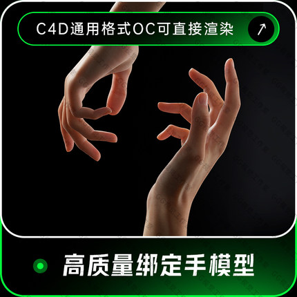 C4D高质量写实带骨骼绑定手部动画OC渲染建模三维工程3D模型010