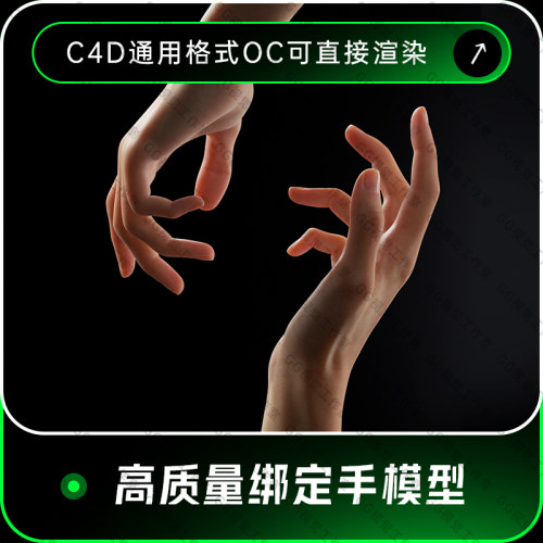 C4D高质量写实带骨骼绑定手部动画OC渲染建模三维工程3D模型010
