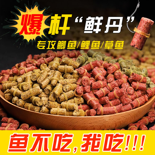 野钓红虫蚯蚓颗粒黑坑鱼饵料