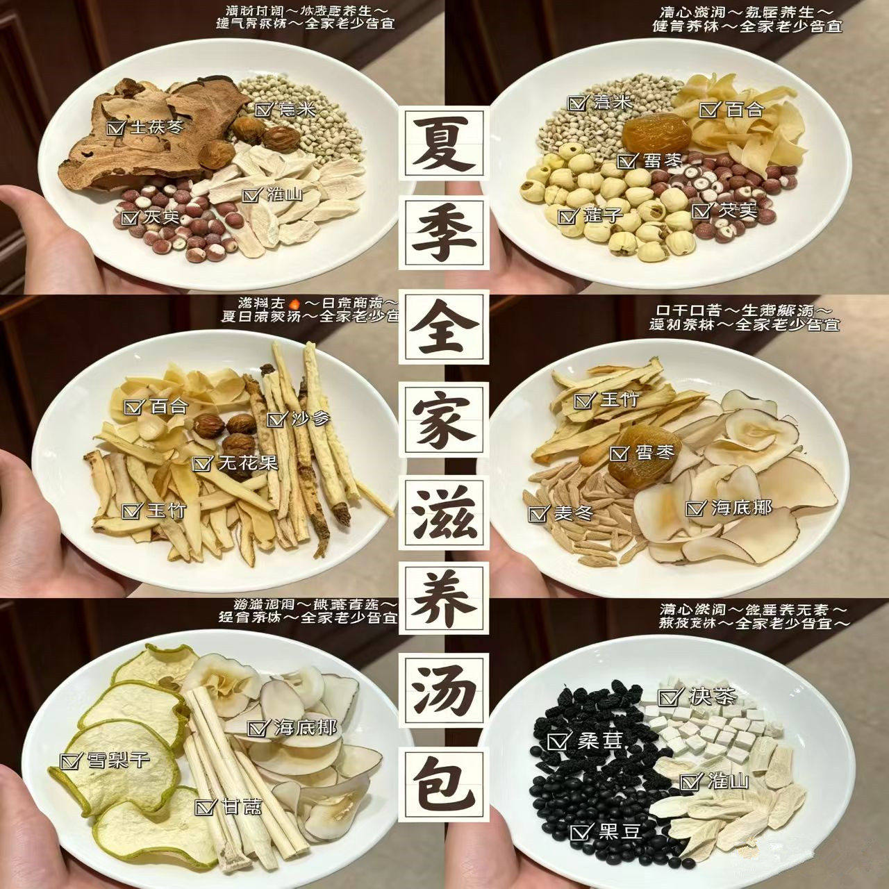 夏季全家滋养汤包组合6付清心火排湿生津健脾温和滋补汤日常汤料
