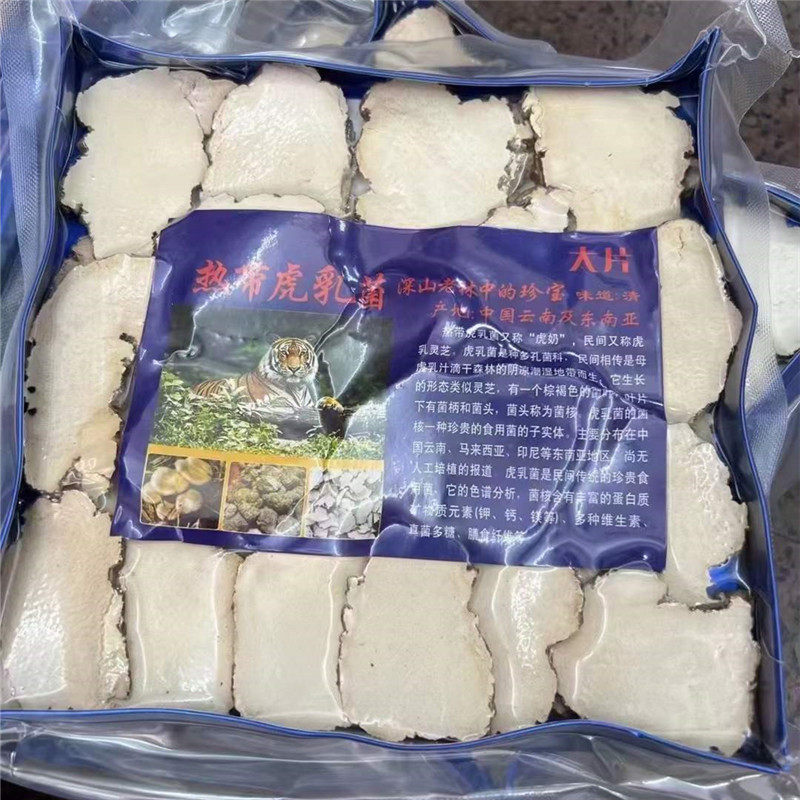 大虎乳片白肉虎乳片老虎奶菌儿童久咳寒咳夜咳煲汤材料宝宝咳嗽汤