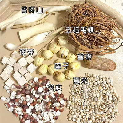 虚不受补汤包五指毛桃四神汤健脾祛湿汤料包寒湿重易上火脾须炖汤