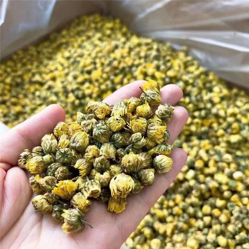 胎菊100g正宗黄菊花茶清肝明目茶胎菊枸杞茶电脑手机多冲泡养生茶