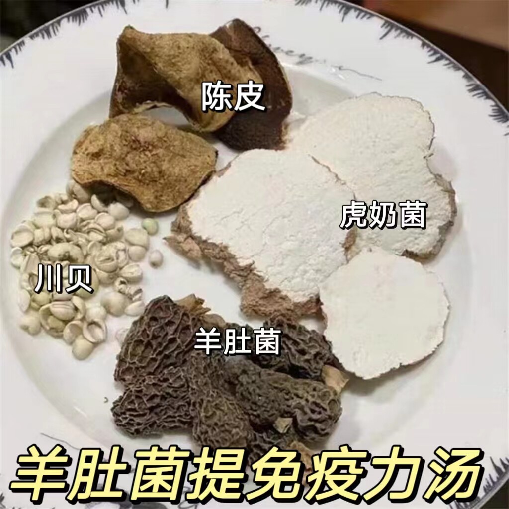 羊肚菌提免疫力汤乳菌咳咳汤