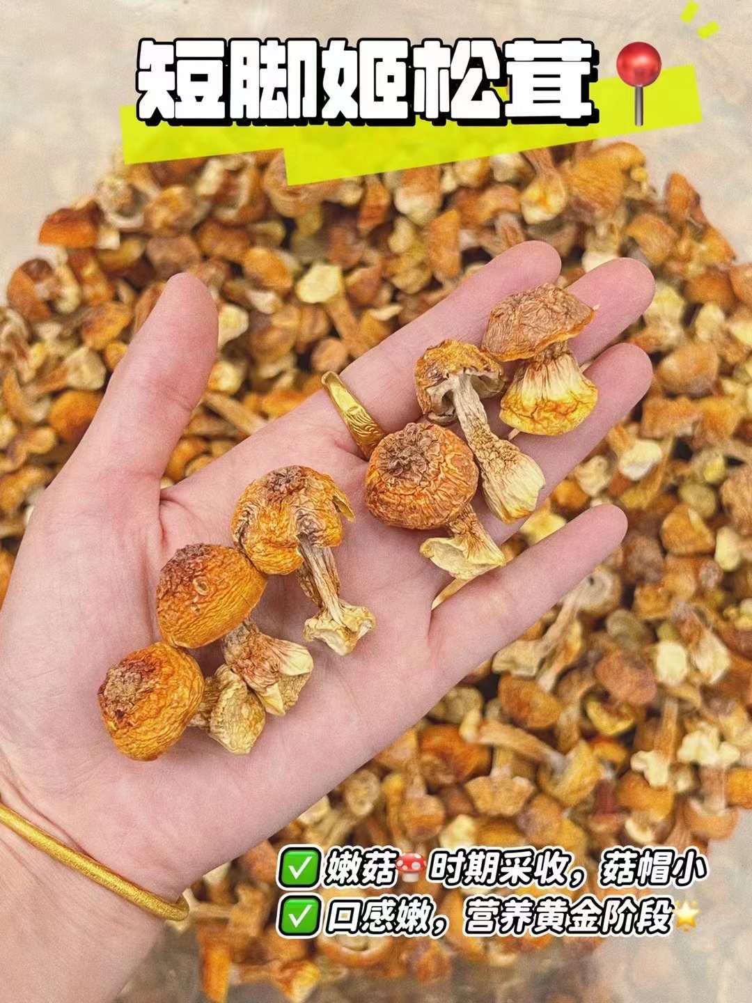 美味姫松茸家庭煲汤料250g半斤炖鸡煲猪骨材料菌菇汤靓姬松茸干货